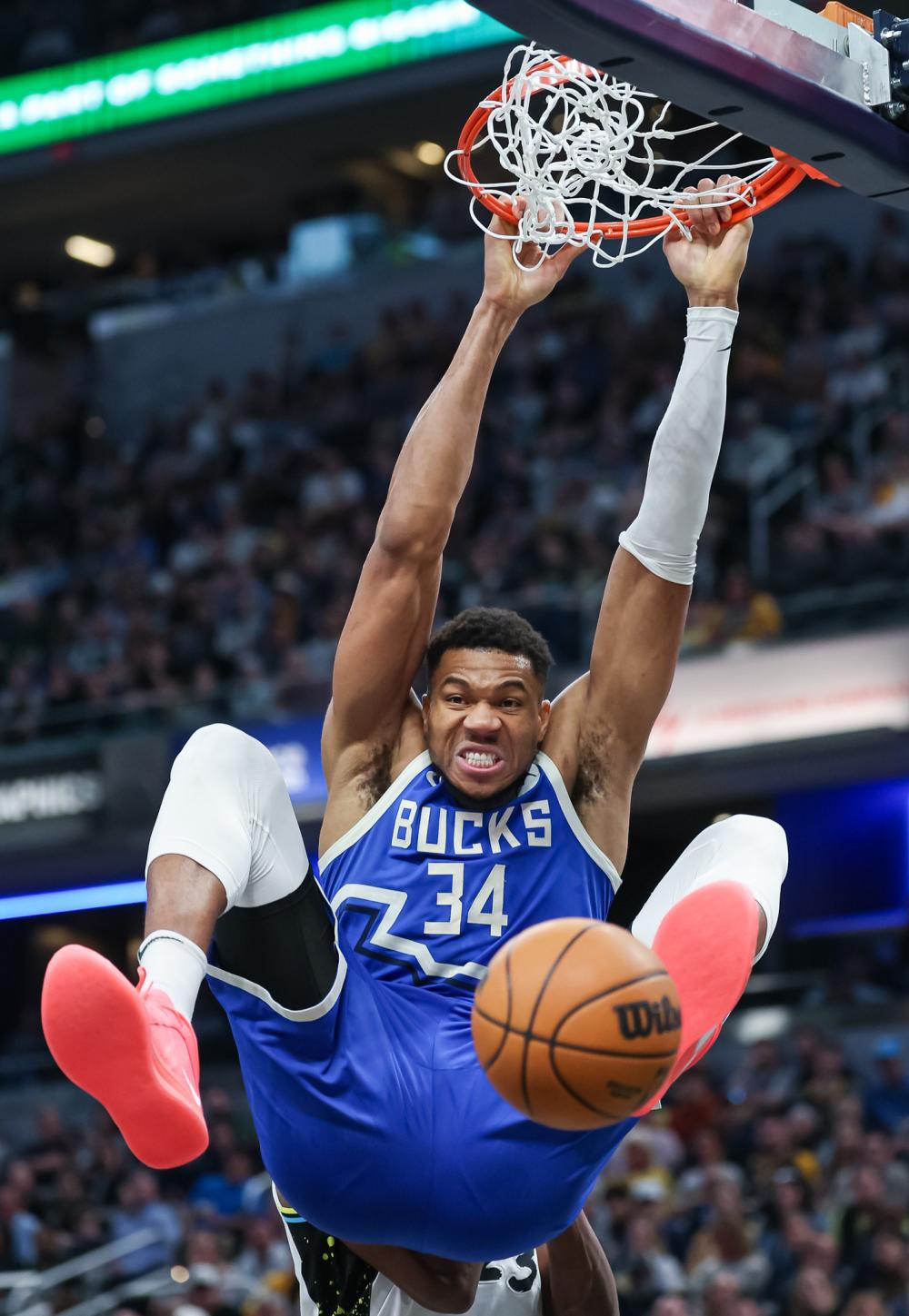 据意大利多 据意大利多