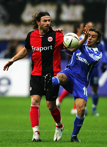 也有可能是 也有可能是